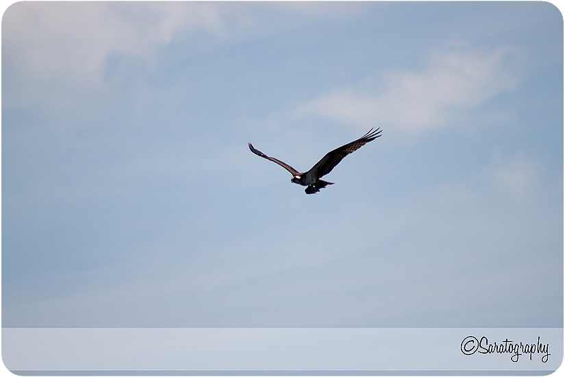 project-365_day-168_2