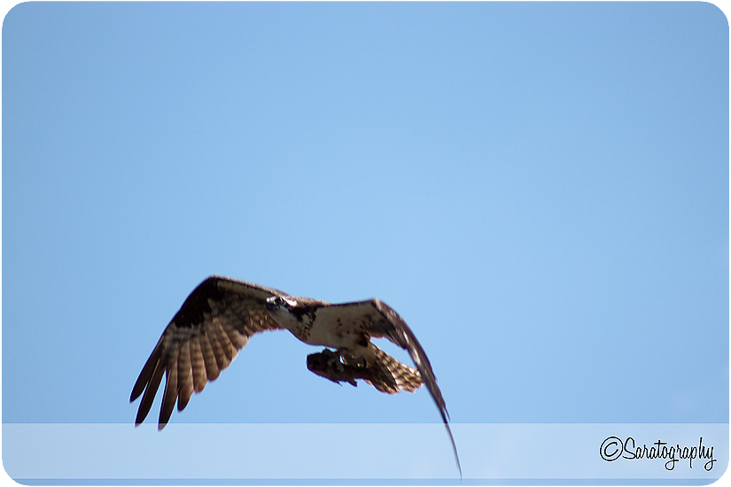 project-365_day-168_3