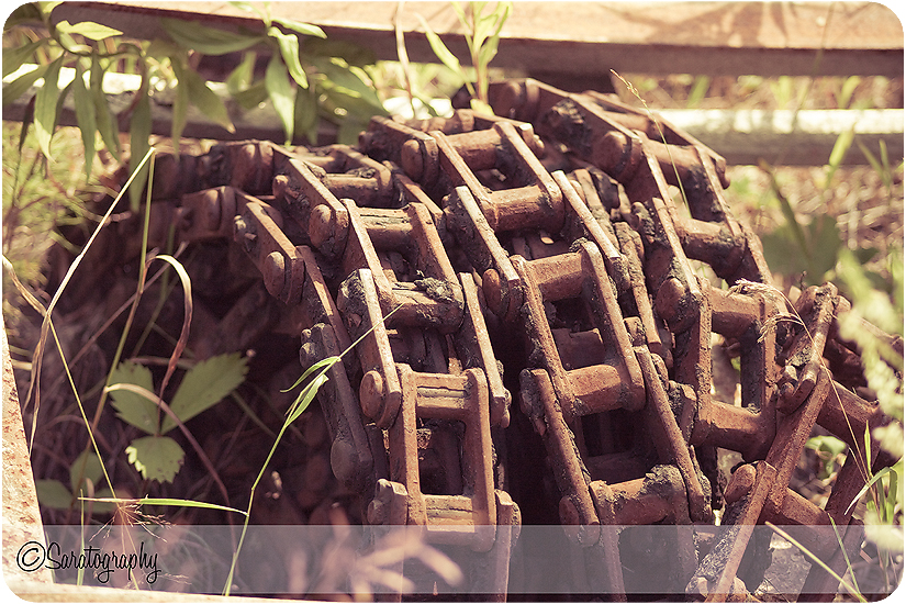 project-365_day-201_2