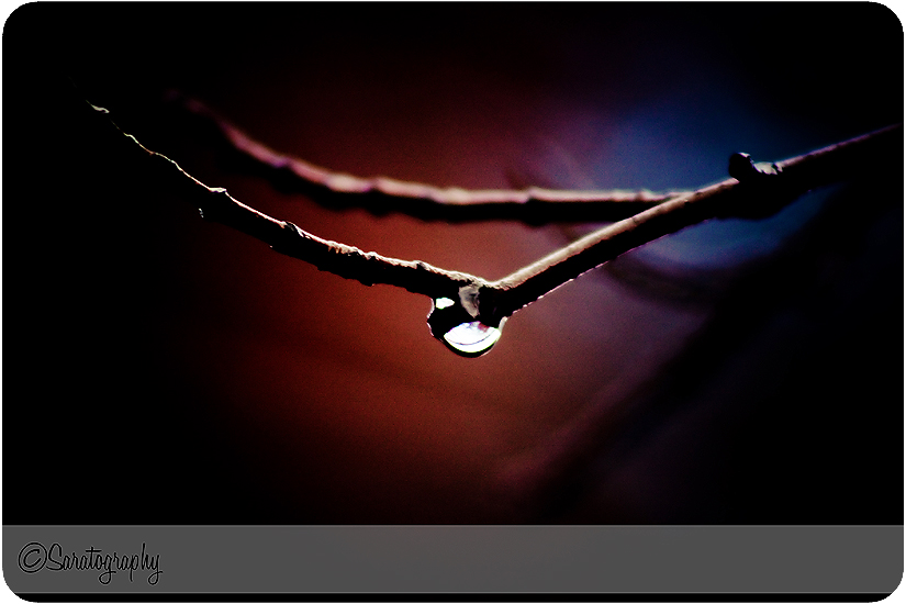 project-365_day-294_2