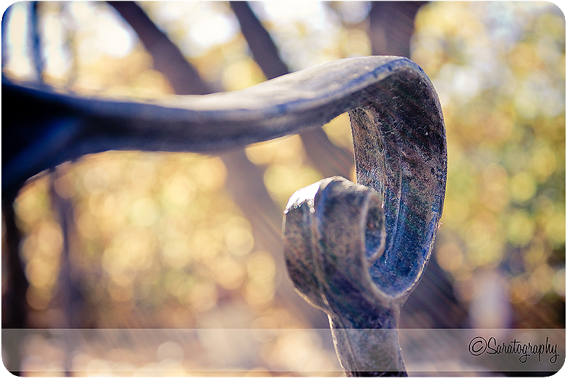 project-365_day-307_3