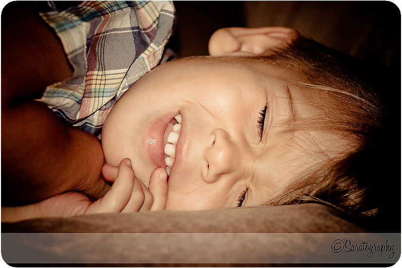 project-365_day-313