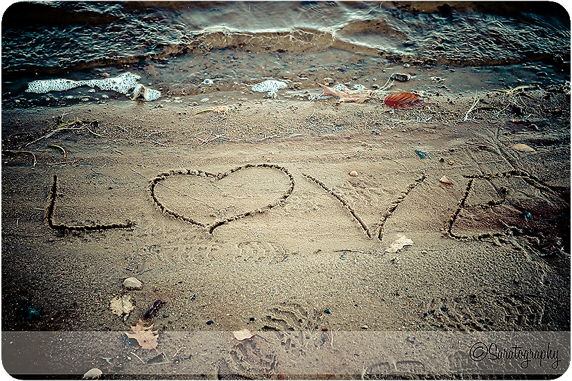 project-365_day-318